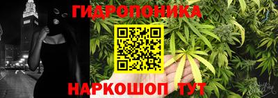 прущие грибы Донецк