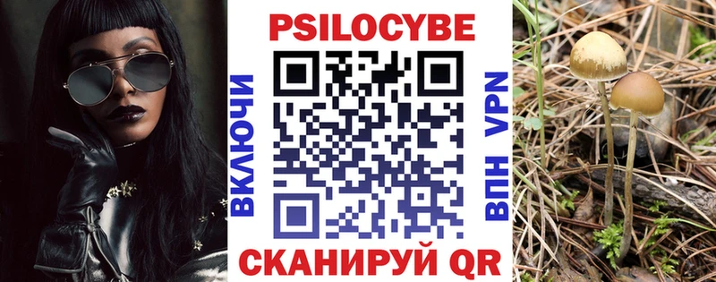 гидра зеркало Кувандык Галлюциногенные грибы Psilocybe