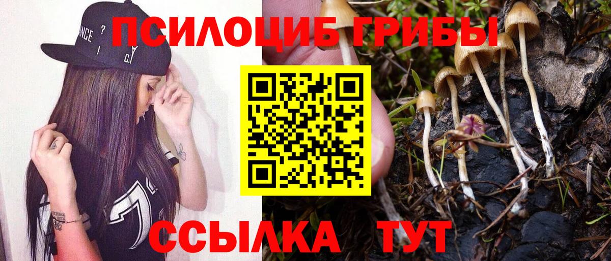 Галлюциногенные грибы Cubensis  Вход с VPN  Псилоцибиновые грибы Magic Shrooms  Кувандык 